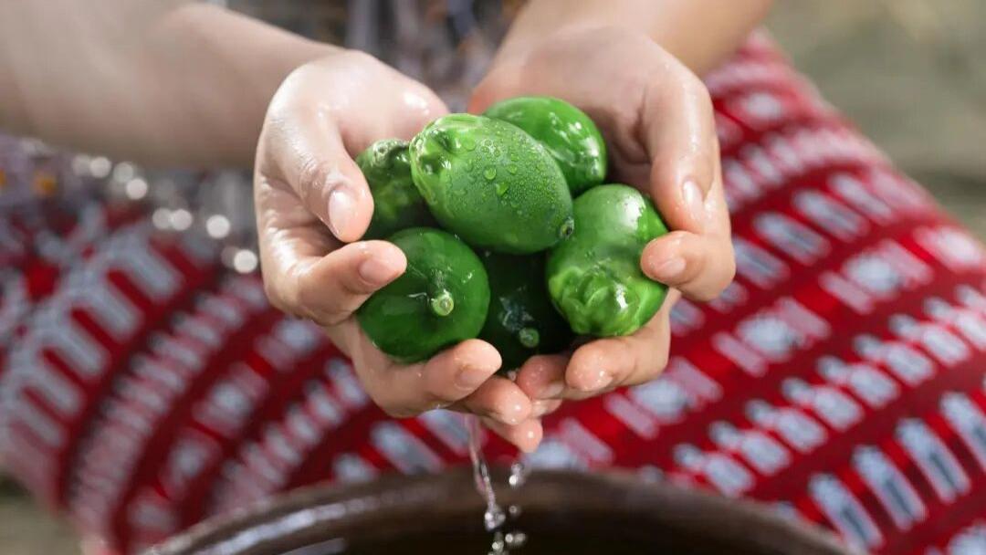 朱元璋青睐的贡品，藏着大明外交密码