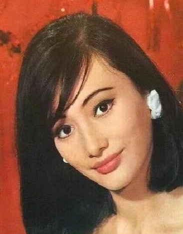 尹子维的妈妈居然是胡燕妮，曾是邵氏十二金钗之一，香港妇孺皆知的大美女，难怪儿子那