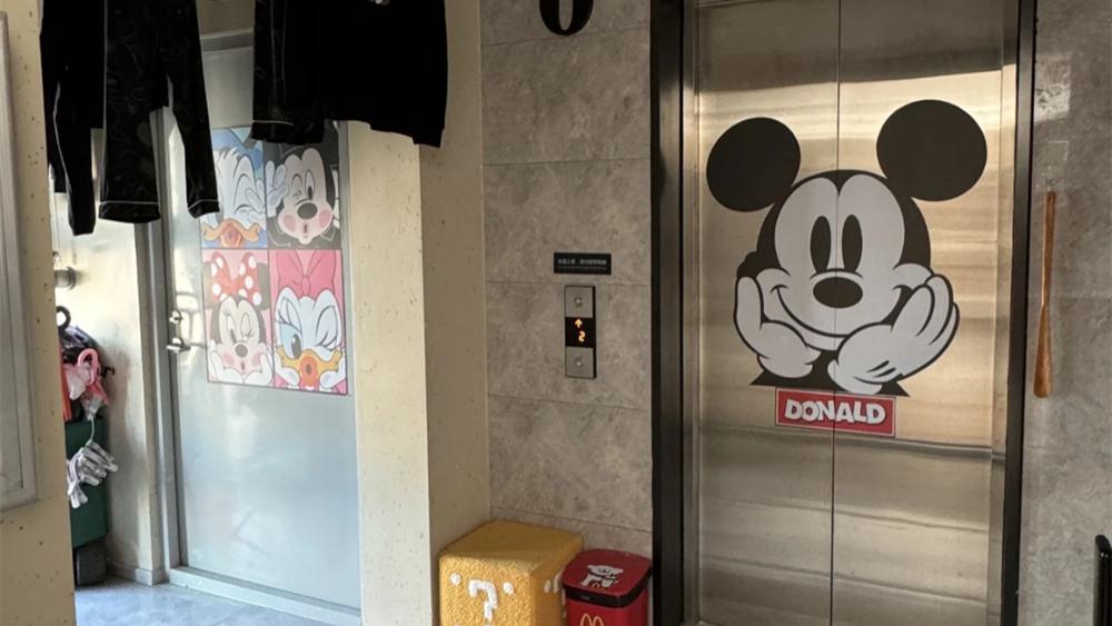 大连姑娘晒出“一梯一户”：利用电梯间挂衣服放蔬菜，太接地气了