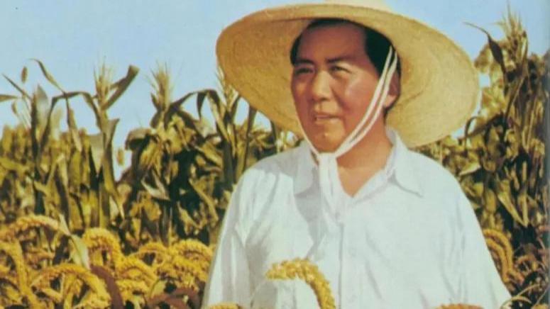 70年代，公社基本上都有农机，为何毛主席去世后反而农机变少了？