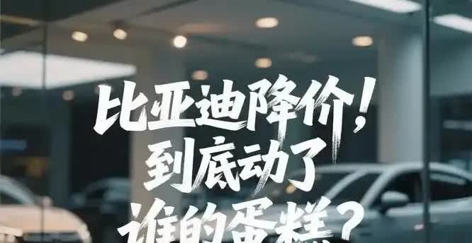 比亚迪突遭同行群殴，为何众车主坚决支持比亚迪？原因其实很现实：

就这么说吧