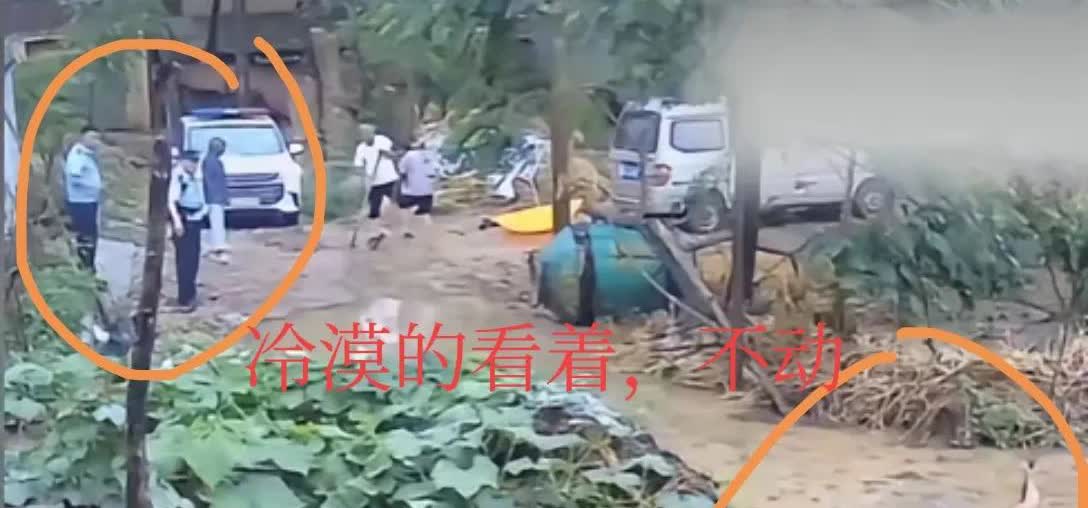 同样是河南人，一个冷漠的看着老人摔在泥水地里，没有挪动半步，一个不顾生命跪地别母