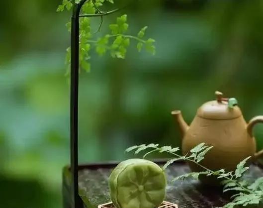 莫言曾说过：“不尊重你的人，百分之百都是瞧不起你的人，这不是因为他们性格直，而是