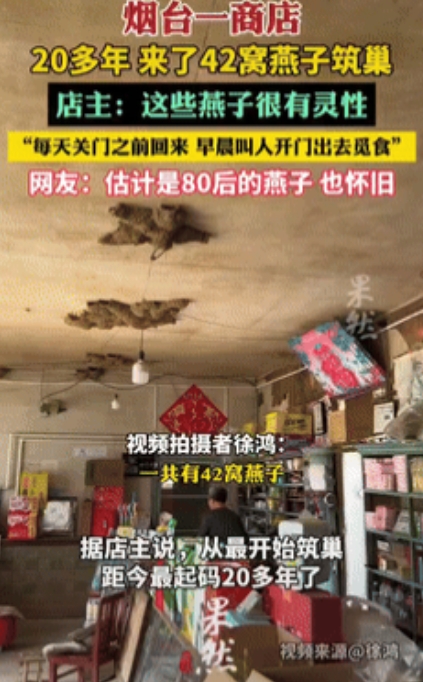 太有灵性了！6月21日山东烟台，女子开店20多年，发现一件稀奇事，这么多年来，总