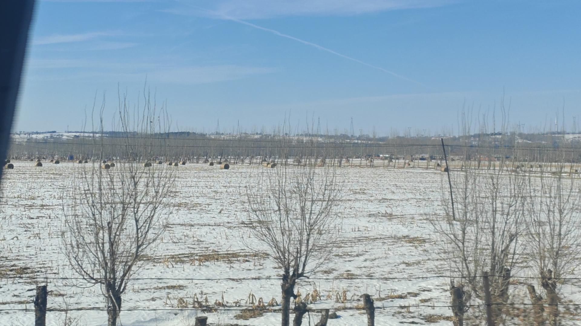 太热了，清凉一夏吧！