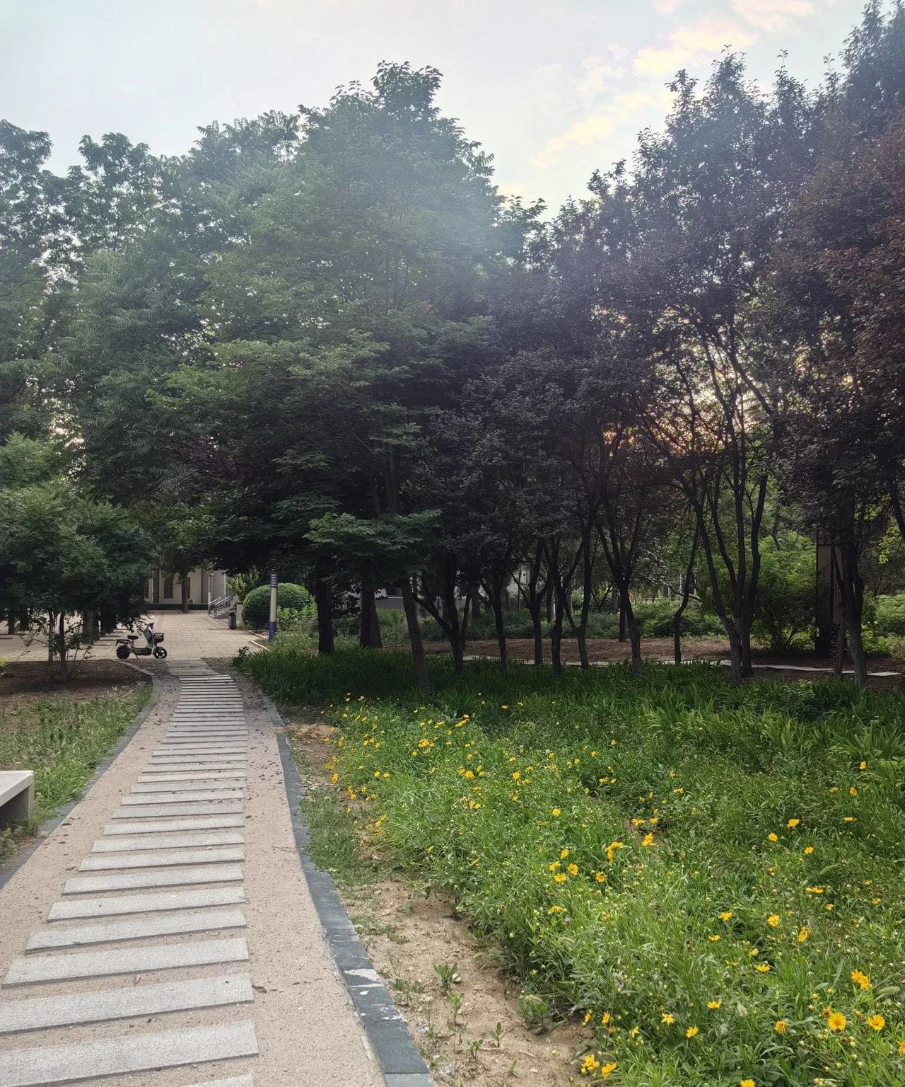 7点开始早读，到现在为止，已经有5位家长在班级群里发信息，说今天早上孩子不舒服，