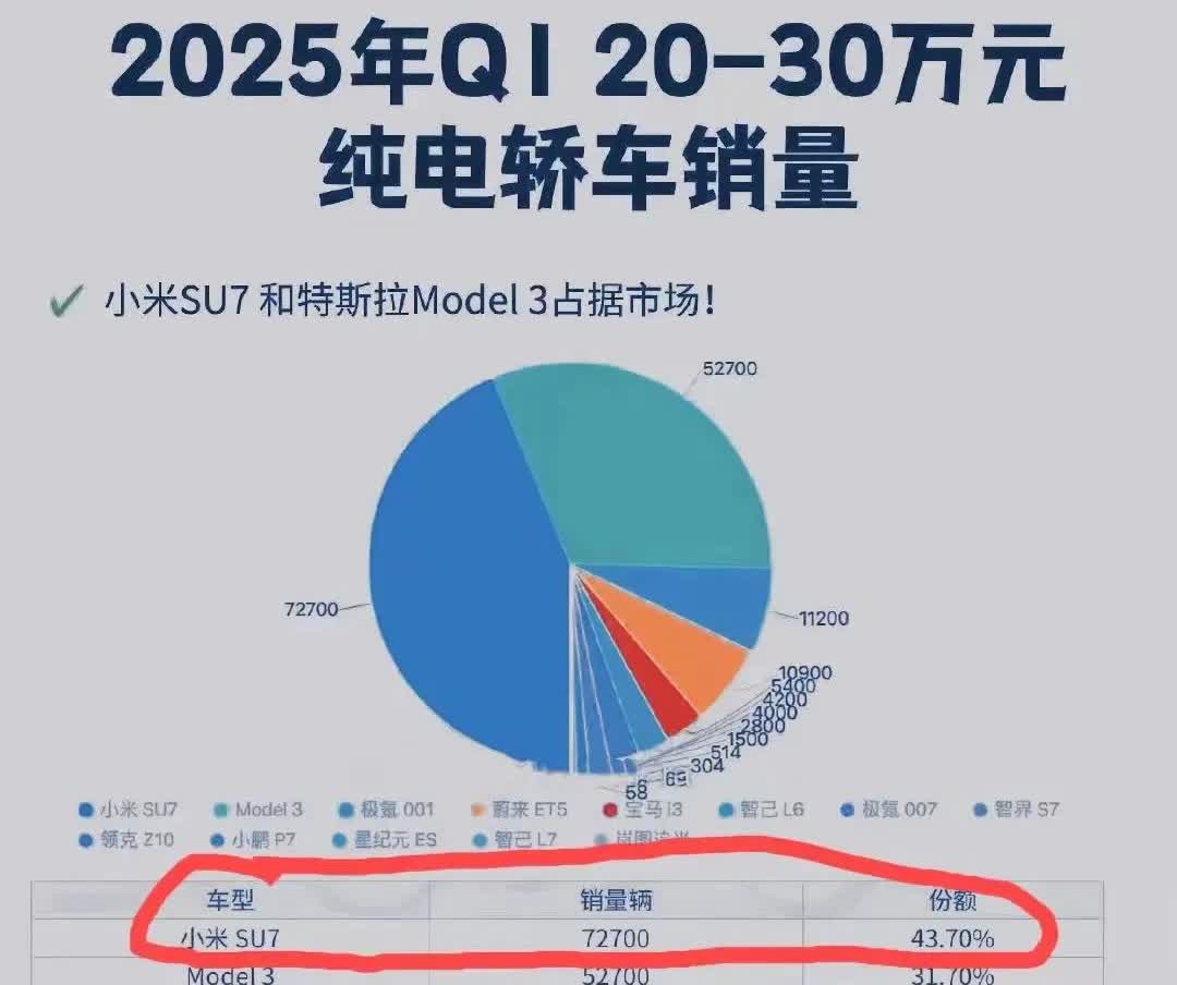 看了一下国内一季度纯电轿车的市占图，明白为什么小米这么招黑了。
除了小米su7
