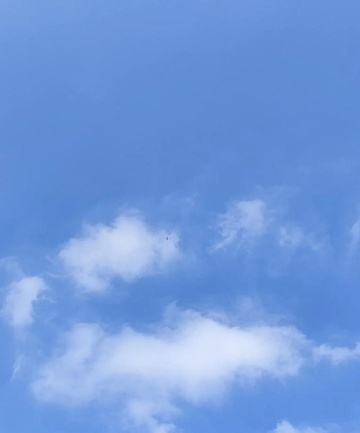 金世佳流浪艺术家造型，金世佳深圳流浪男的造型很随意，一时之间分不清是金世佳私下就
