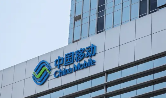 几百万用户说走就走，移动却怪政策太狠，这锅甩得真溜。

2019年开放转网，20