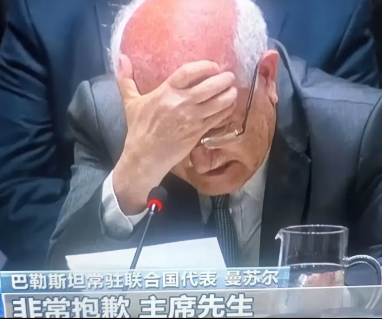 无助与无奈。这也是巴勒斯坦人吃下自种的苦果。
巴勒斯坦失败之处是二战后没有和以色