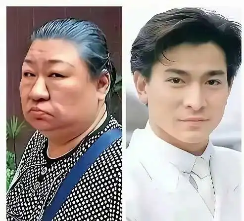 刘德华大姐怎么长的跟洪金宝似的，刘德华那么帅，那么秀气，他的大姐长的好粗犷啊。