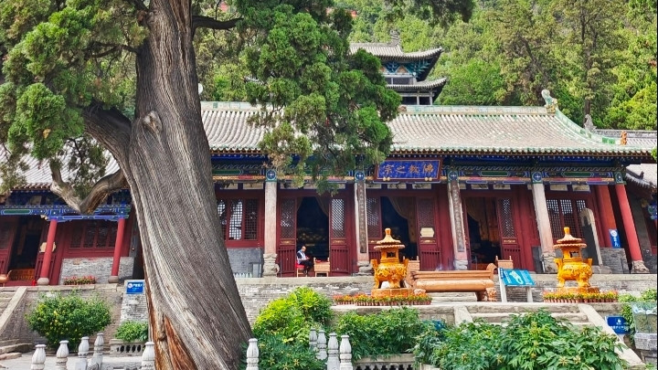 卦象奇山·古柏秘境：吕梁卦山"三晋第一山"全攻略