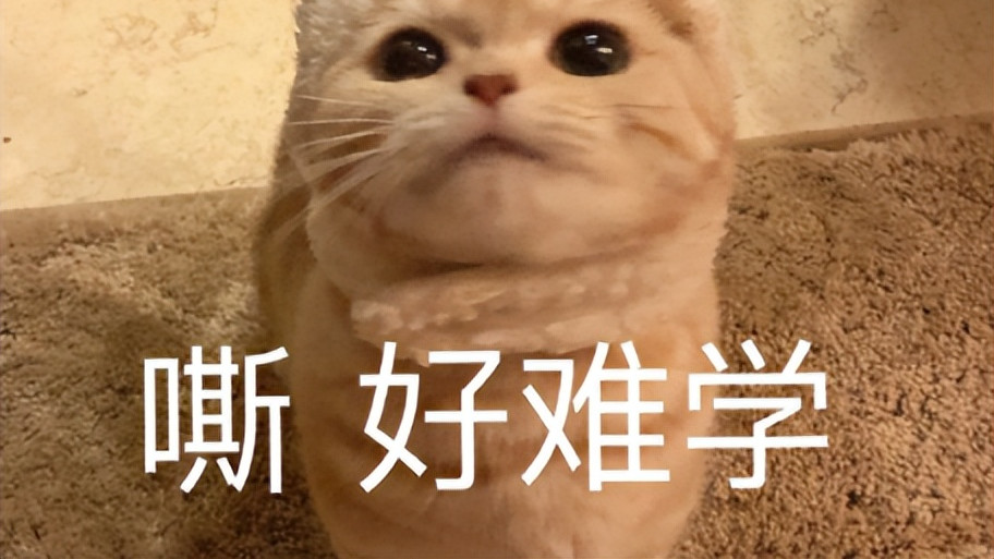 中职生如何克服偏科，高效复习广东3+证书高职高考？