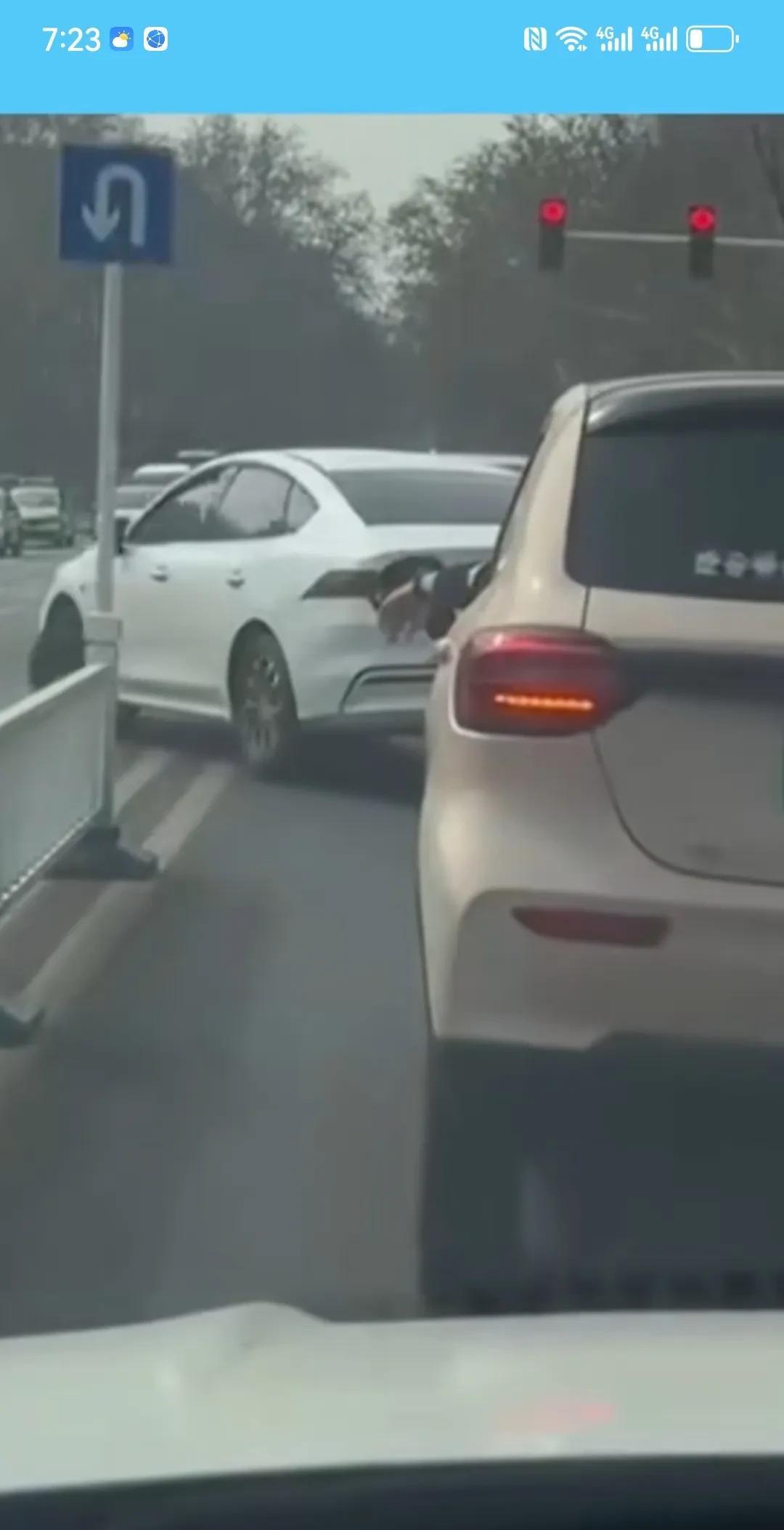 不知道从啥时候开始，路口的红绿灯换的五花八门，除了让人迷迷糊糊的走之外，没有见到