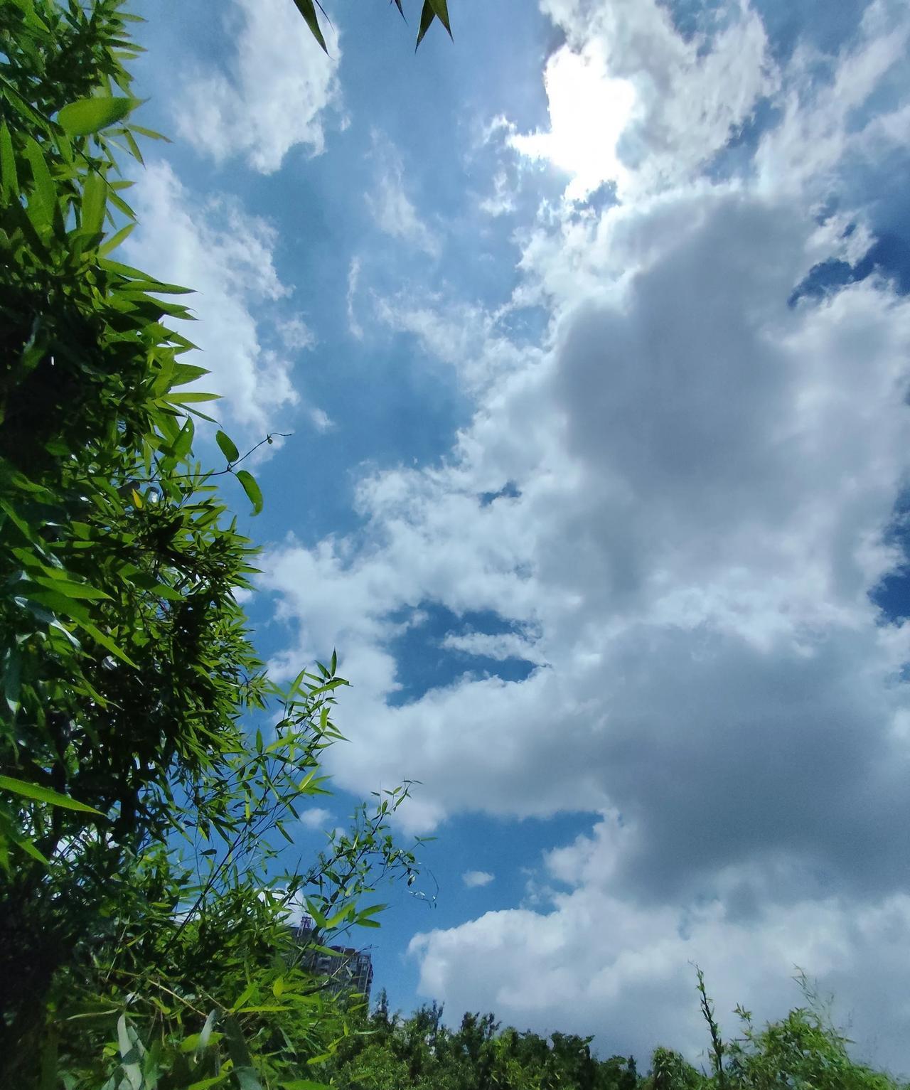 沈夕越晒大女儿二女儿小儿子，一家四口缺了糖糖。
看到三个孩子各有各的可爱，不禁感