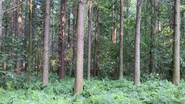 绿色环保材料包装源头工厂FSC认证三边封格拉辛无塑可降解服装袋