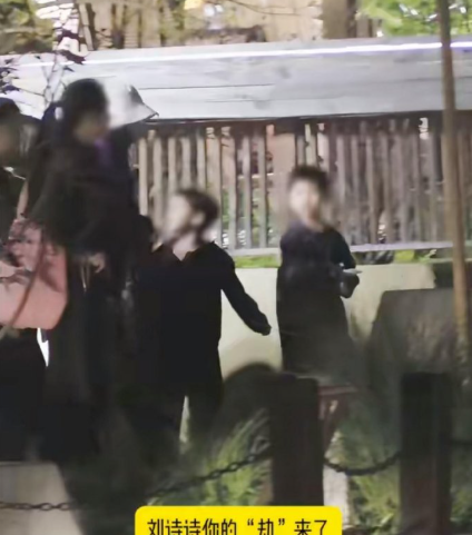 刘诗诗带儿子出门，步步上演一秒撒手没，最后直接被刘诗诗扛上车 ​​​