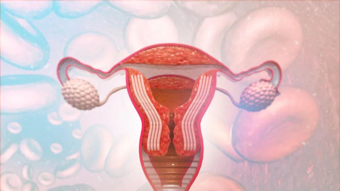 试管移植后黄金72小时 需要重新定义成功