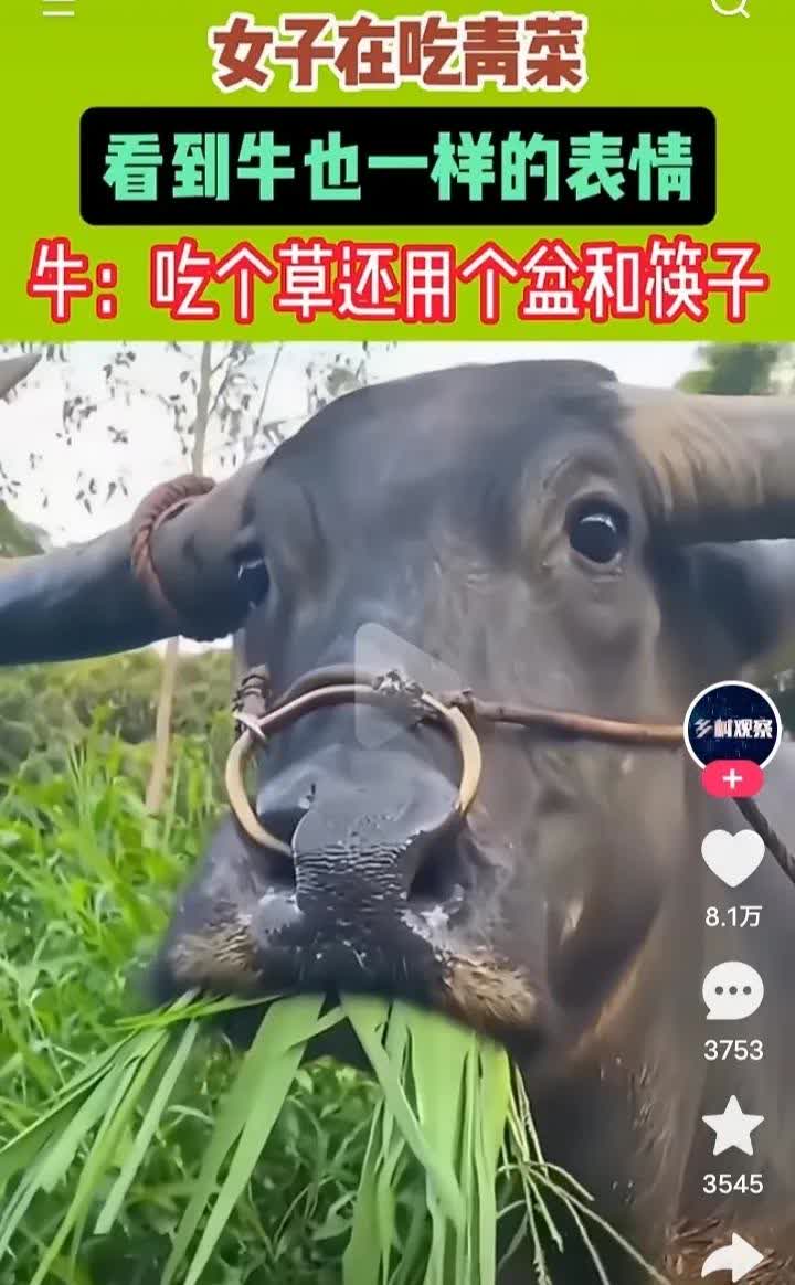 现实版的牛郎与织女
彼此相见恨晚的眼神仿佛就是前世的擦肩而过注定今生定会相见。