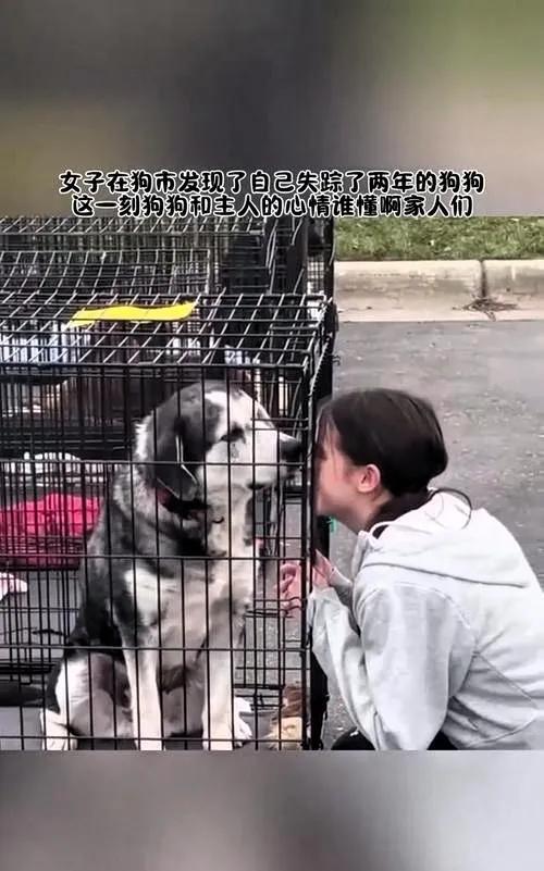 女子小夏的狗在狗市重逢
激动落泪
狗用爪子安慰她
周围人劝狗贩子把狗还给她，
狗