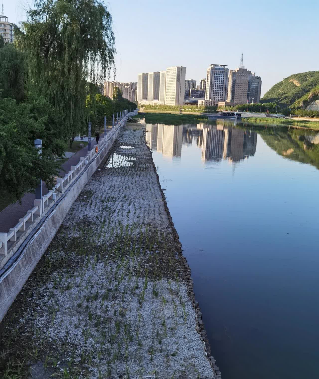 花巨资修建的武烈河生态修复工程修成这样？

武烈河是承德的母亲河，经过多年的