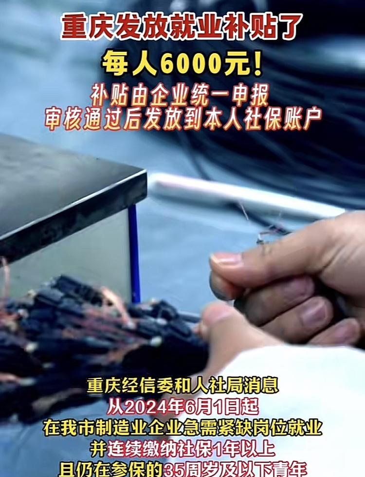    不过，值得注意的是，这项补贴专项为制造业，而且是紧缺型岗位，详细可见相关