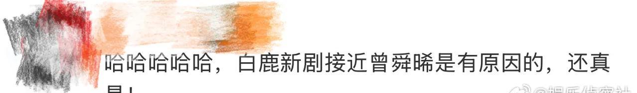 救命！《临江仙》这波“复仇式靠近”太带感了！白鹿饰演的女主看似温柔靠近曾舜晞，实