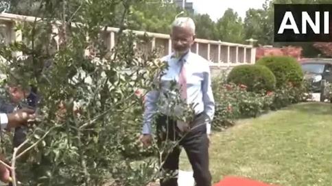 印度外长苏杰生今天（7月14日）早些时候在印度驻华大使馆种植了一棵石榴树苗。
