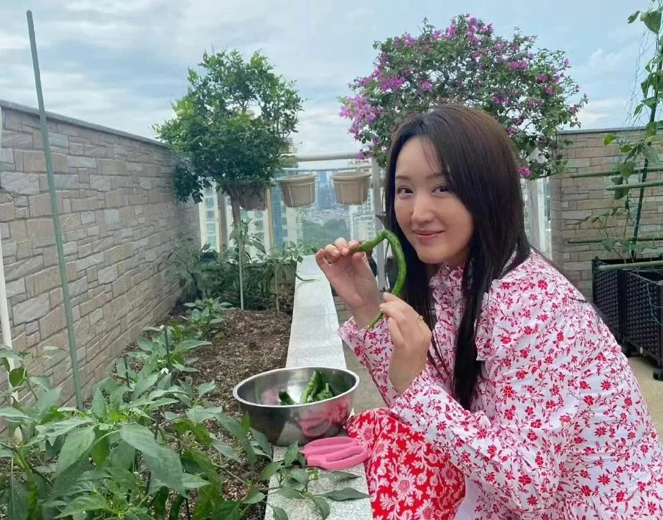 54岁女星杨钰莹的生活现状：
1、无儿无女，未婚，无公开男友 
2、身价超5亿，