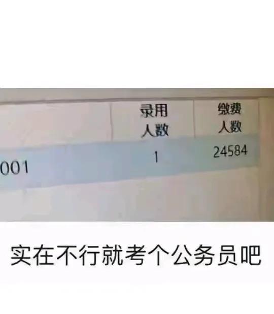 考公的竞争太大了。
邻居说他小孩本来立下决心考公考编，可是，毕业全职考了三年，从