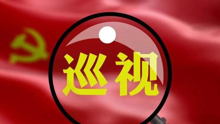 巡视专员：到底是干啥的？级别又咋算？