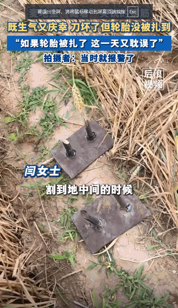 6月5日，河北一女子在收割麦子时，竟在麦田里发现两根新焊的钢筋，她担心扎坏收割机