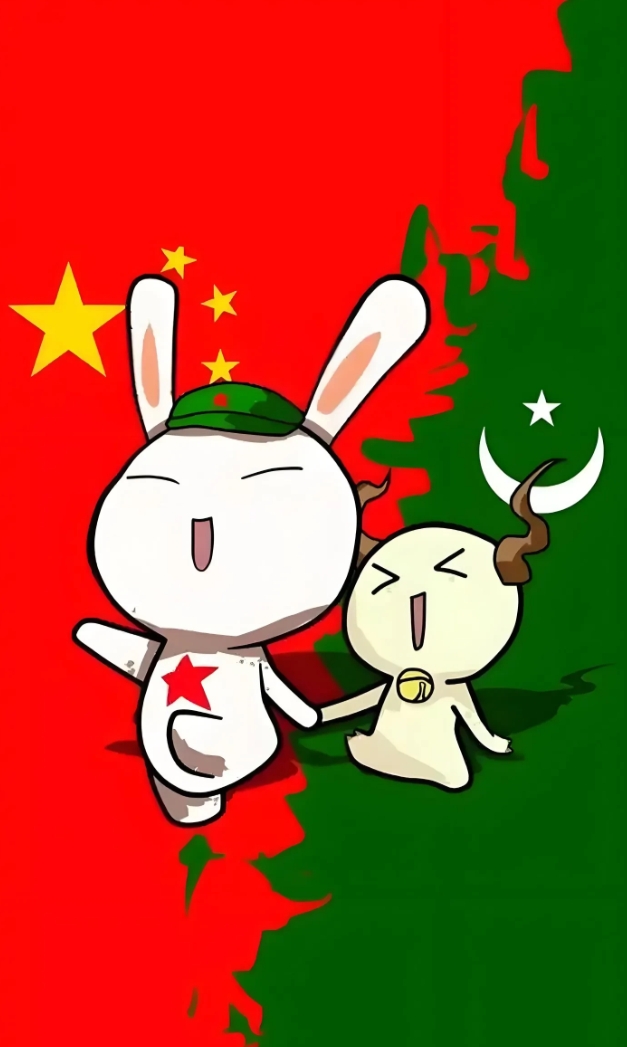 巴基斯坦若有难，全球能为其提供帮助的4个国家，名单如下：
1、中国，当今世界第二