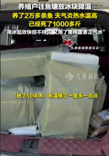 “聪明人就是厉害！”湖南岳阳，一男子承包了20多亩鱼塘，养了快20000条鱼，可
