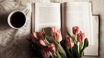 虚构合同签订地能否成就有效管辖约定？