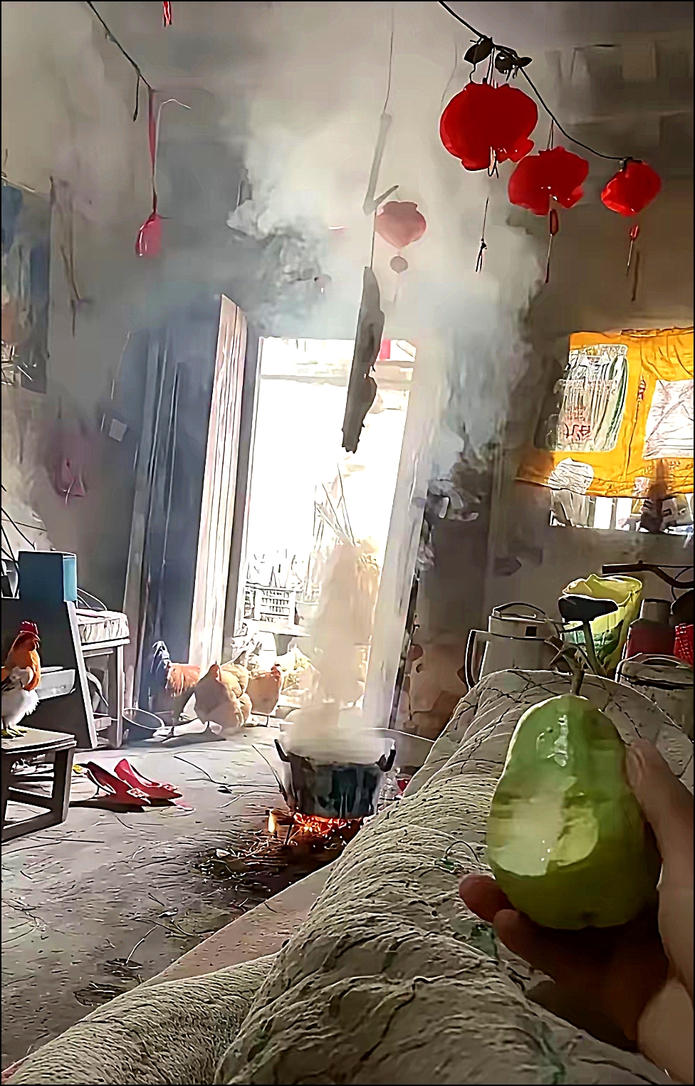 我也是愁我的鸡，不然早出去了
