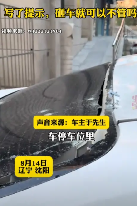 “飞来横祸！”8月14日，辽宁沈阳，一男子将车停在车位里，结果，一块石头从天而降