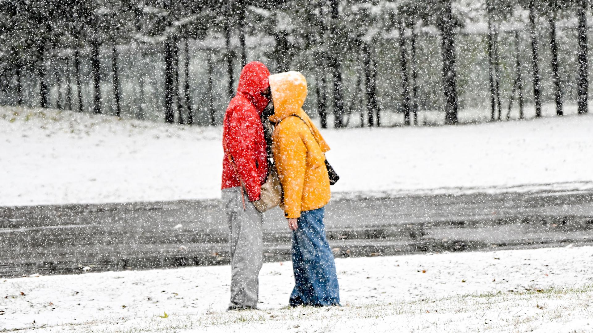 太阳岛：雪裹红橙之吻