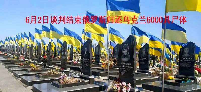 ### 俄乌冲突：6000具遗体带来的沉重代价











天塌了！当