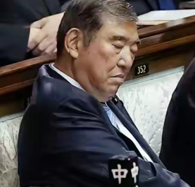 他在选举的时候当众睡觉，结果突然被选上了国家领导人，然而他在上台以后就没干几件好