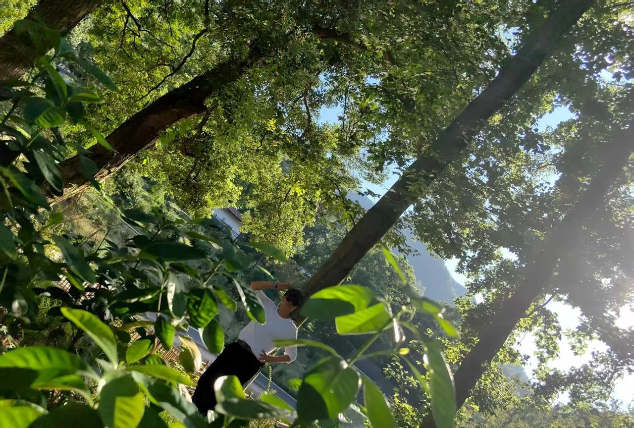 今日出伏，出福。是好运呀！
因为初伏逢双，幸福翻倍。
明天就正式出伏日！
这不是