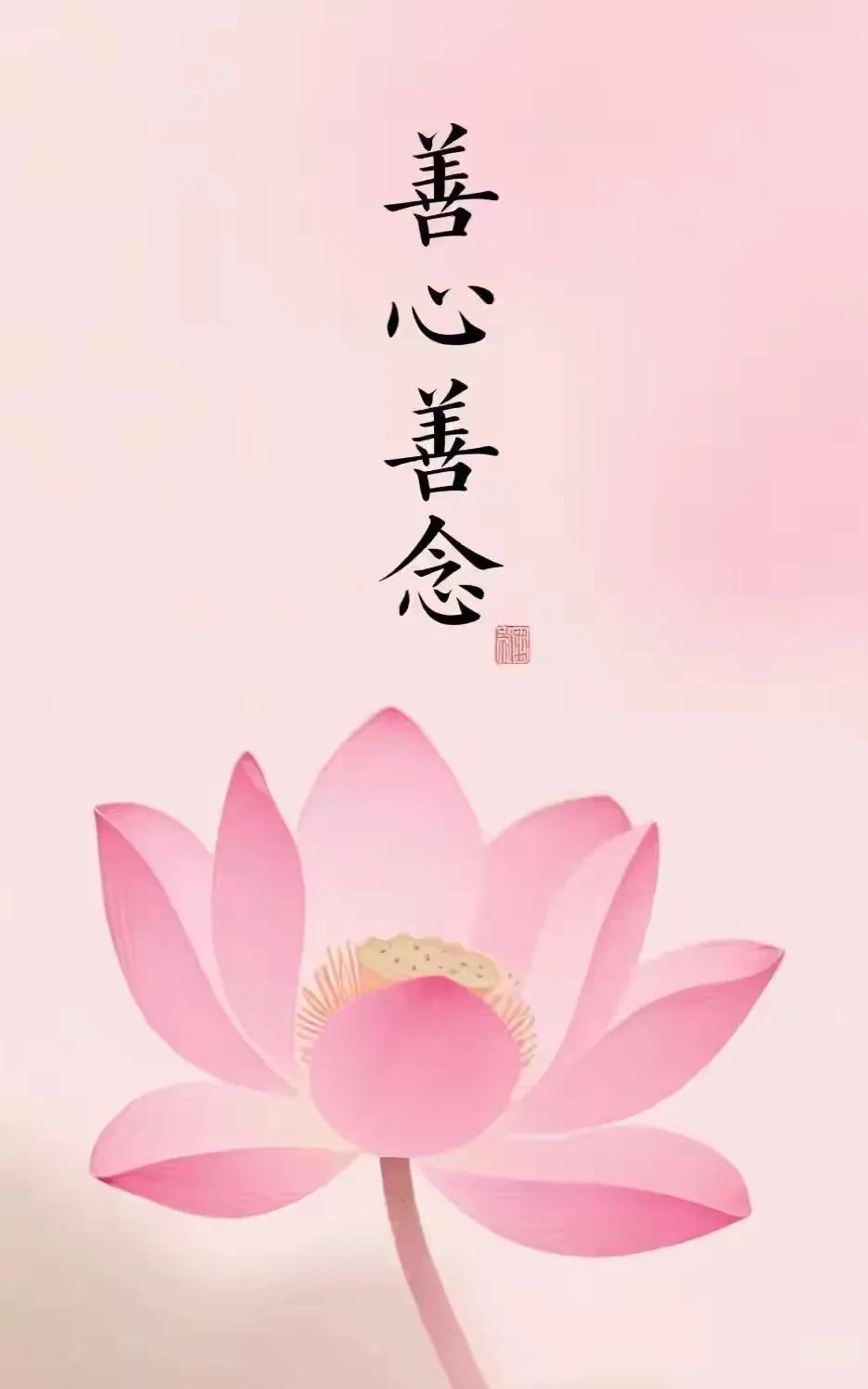 曾非常喜欢的一段话：“佛不用天天拜，心需要天天修。福报不是争来的，而是用自己行为