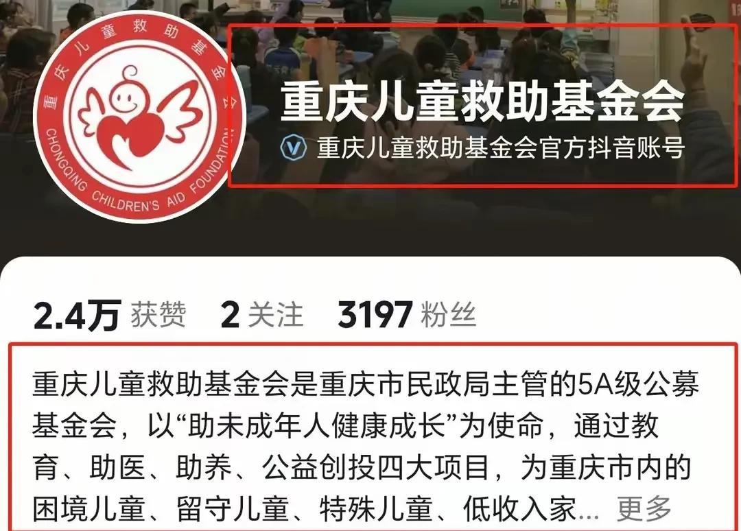 谢浩男公益视频下架的真正原因
重庆儿童救助基金会隶属重庆市民政局，捐助手续和程序