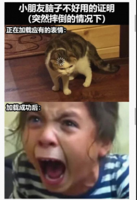 正在加载应有的表情