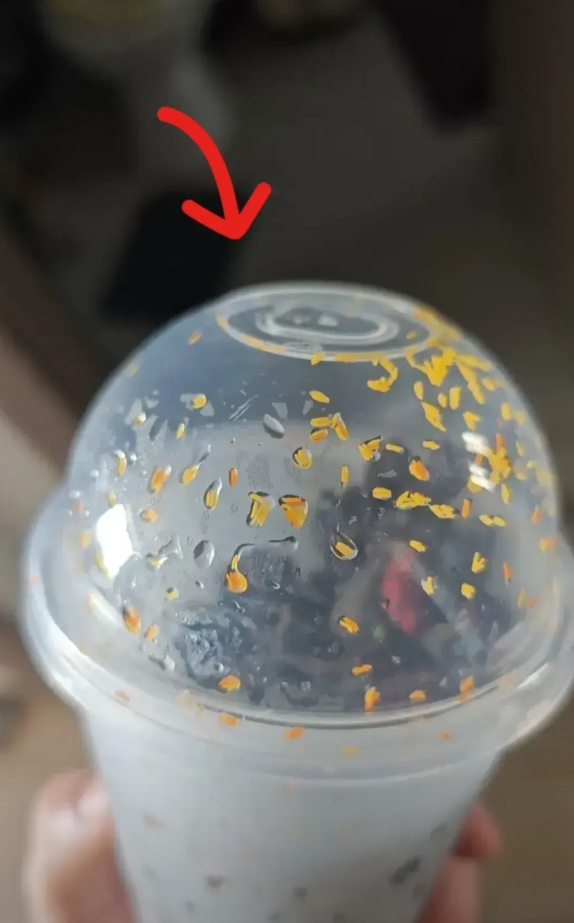 河北，一名女子在郊外摘了些野桑葚，回到家后装进了一个塑料杯里，然后放进了冰箱里冷