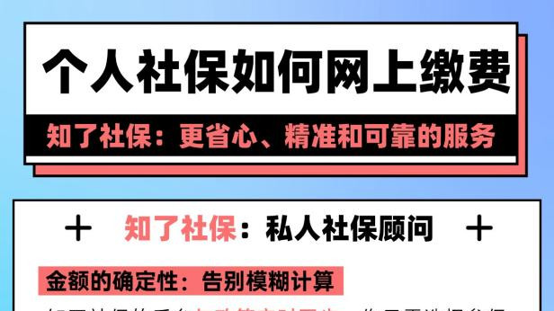 ​个人社保如何网上缴费：更省心、精准和可靠的服务