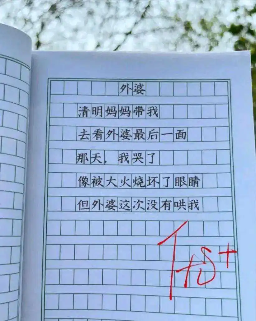 这段文字好触动人心，值得给优+。

