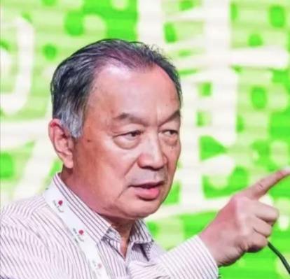 2023年，著名教授温铁军大胆发言：乡村小学，几乎都倒闭完了，名义上是县城教育质