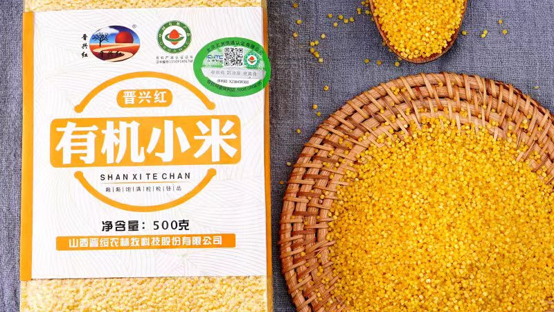 兴县小米：不止是食粮，更是晋西北的乡土符号