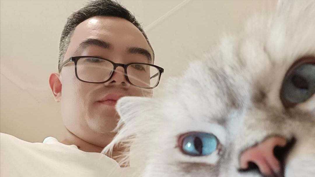 铲屎官，我们是我们，你们是你们，请记住，你是人，我是猫！